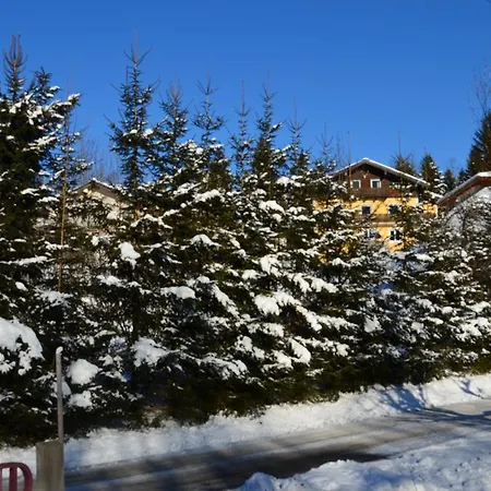 Alpengasthof Dollerhof ゲストハウス アプテナウ