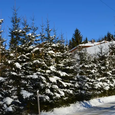 ゲストハウス Alpengasthof Dollerhof