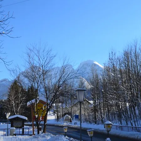 ゲストハウス Alpengasthof Dollerhof アプテナウ