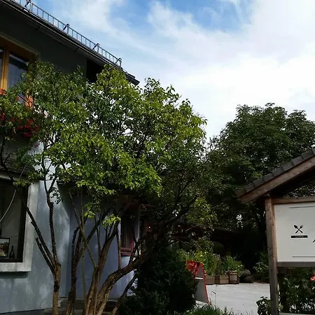 ゲストハウス Alpengasthof Dollerhof アプテナウ