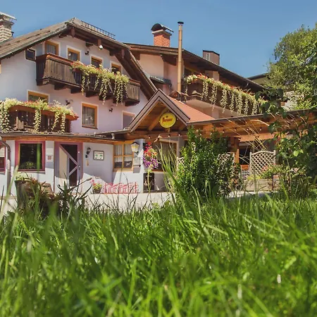 Alpengasthof Dollerhof ゲストハウス アプテナウ