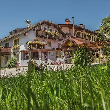 ゲストハウス Alpengasthof Dollerhof 3*